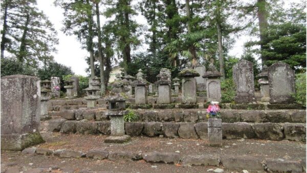 堀之郷正八幡宮と　蔵林寺を訪ねる
